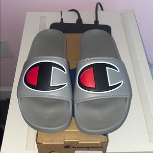 Gray Champion Slides